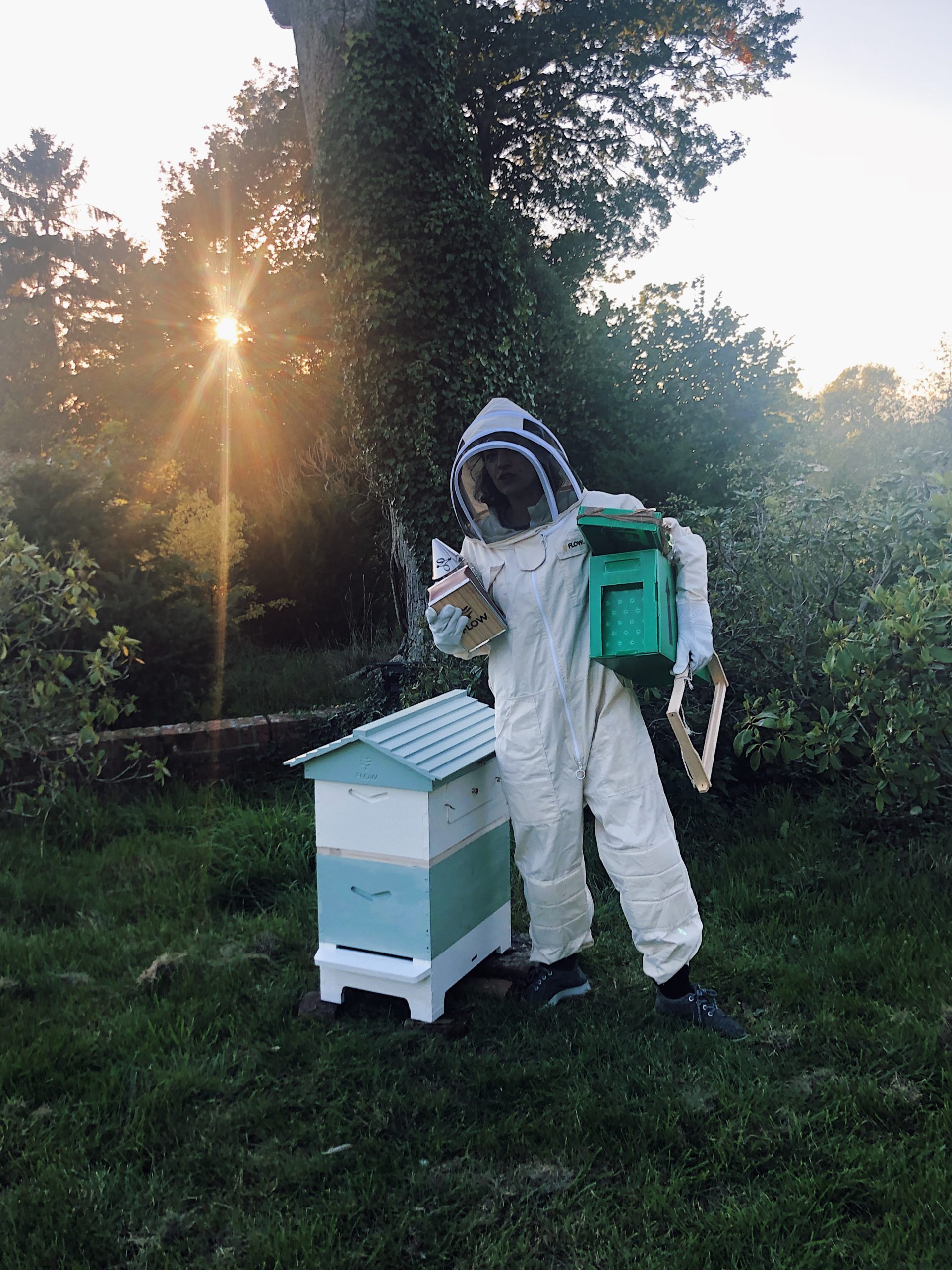 11 Things You’ll Need to Start the Bee Journey