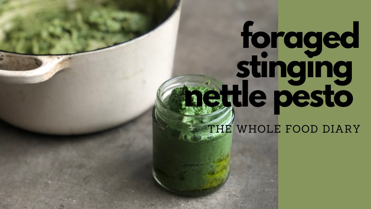 How to Forage for Nettles + a Stinging Nettle Pesto Recipe!