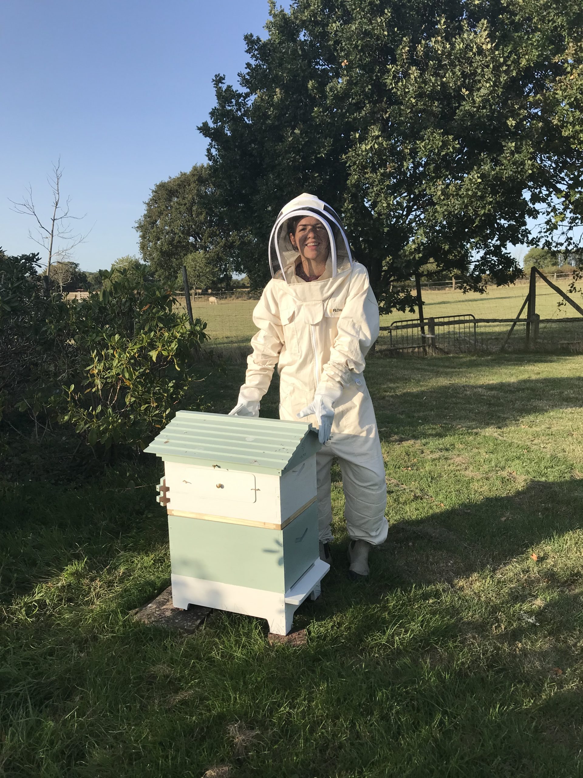 Thinking About Keeping Bees? Read This from a beginner who wish I’d read this first!